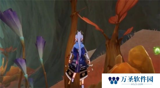 《原神》手游 枫丹树木点位介绍