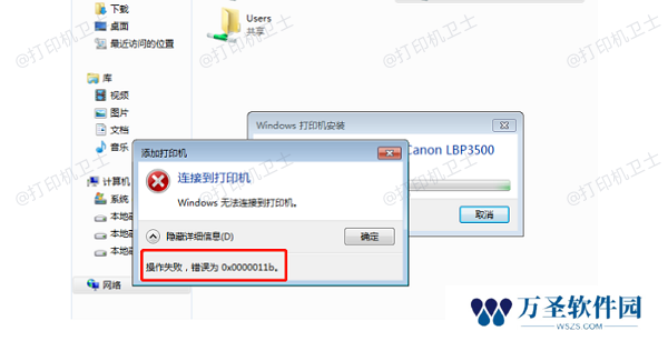0x0000011b错误