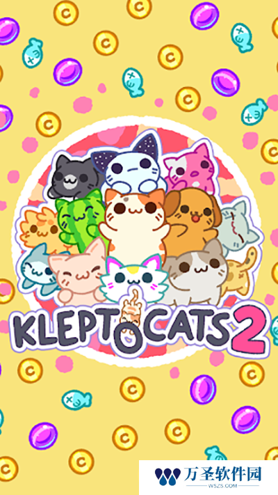小偷猫2